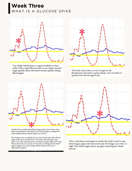 Blood Glucose Freebie