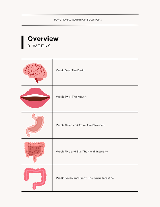 Digestion Reset Program